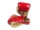 Kanong Muay Thai Boksehandsker : Thai Power rød/guld